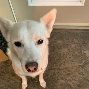 Meet your Posher, Marcella